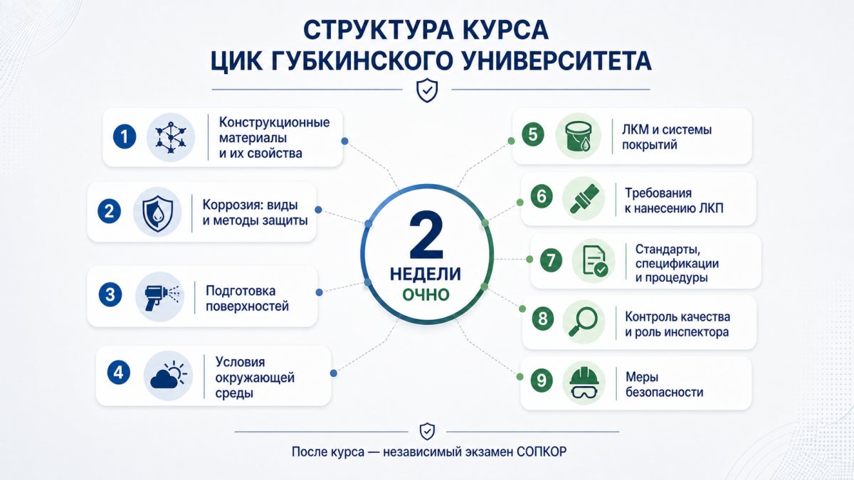 Структура программы обучения